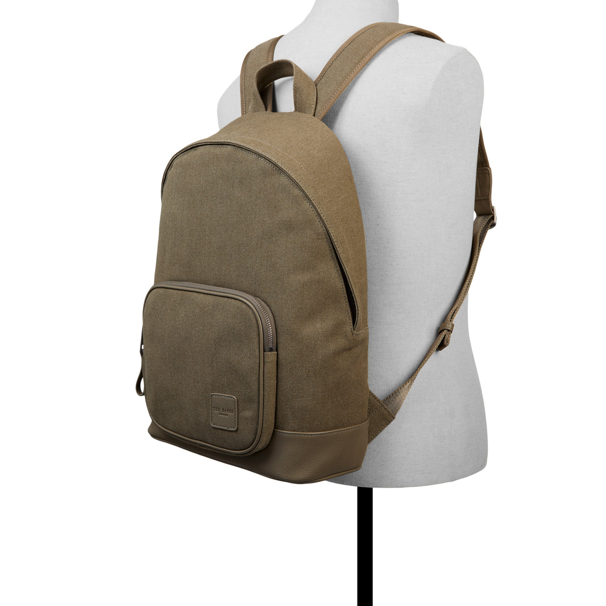 YORK | OLIVE