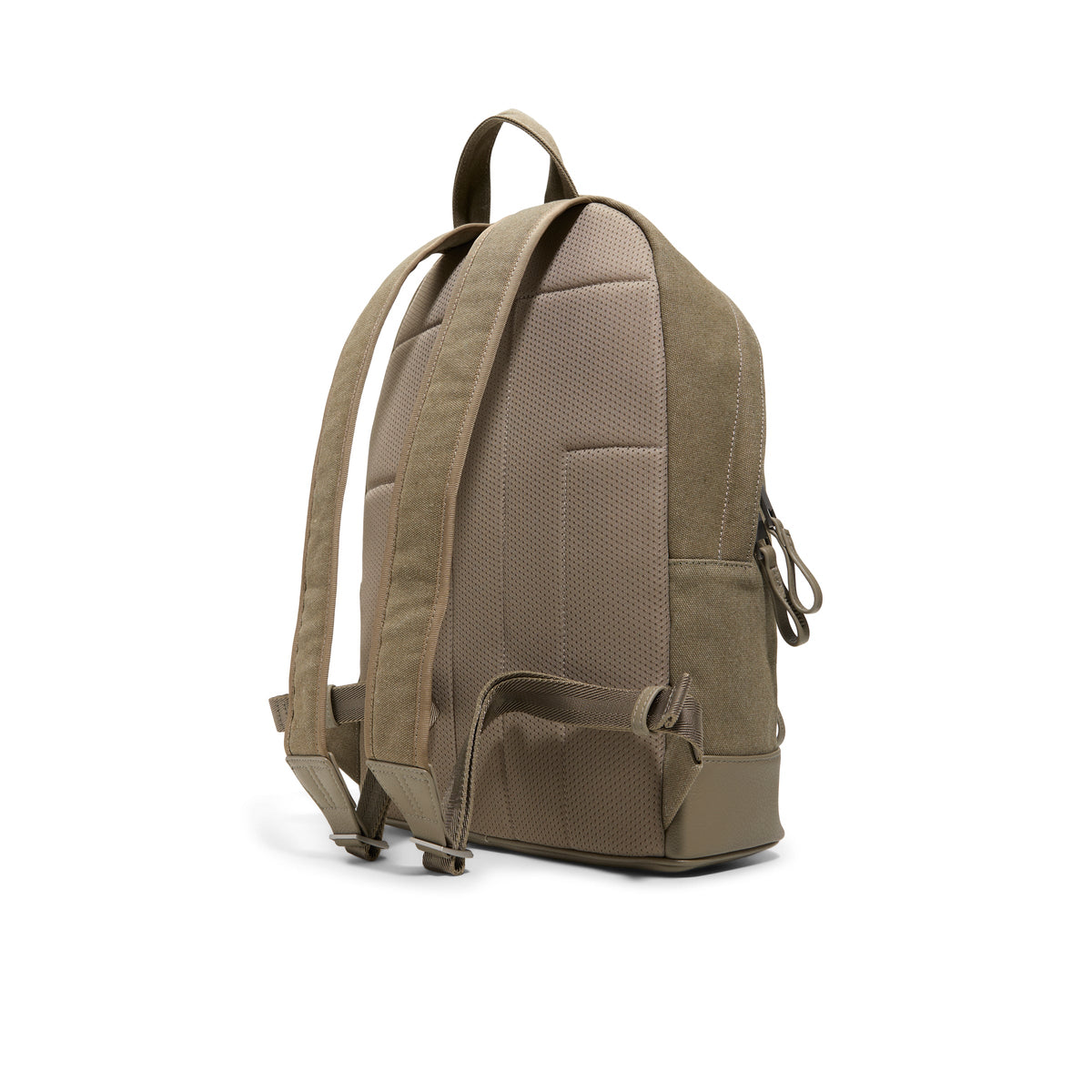 YORK | OLIVE